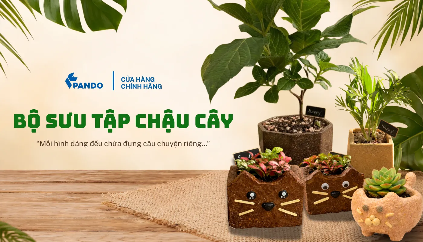 Bộ sưu tập chậu cây tái chế từ bã cà phê và bã mía