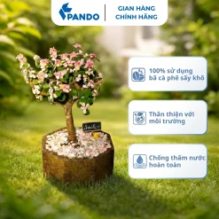 Alternative view of Chậu Cây Bát Giác Tái Chế Bã Cà Phê Bã Mía - Decor Văn Phòng Bàn Làm Việc Ban Công | Pando Ecotech